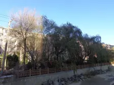 东北名苑跃层 南北通透 大平层打通 诚心出售