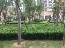 万达大三房 明厨明卫 中间楼层 视野开阔 看房方便