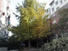 近地铁,靠中环,飞机户型 位置好,视野好,采光好