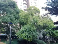 电梯房,小区中心位置,交通便利,精装修,采光充足