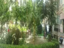 七里河 中天健旁 框架房 南北通透 可按揭