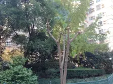 一百多平大花园,另加固定停车。边套户型。