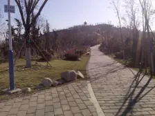 靠山洋房 总价低电梯房 业主诚意出售