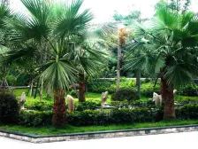 华岩新城 七彩华府三房