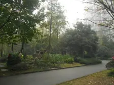 巴国城 巴国公馆二房72万