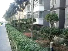 五号街坊多层三楼通透三房 全明户型 采光好看房方便