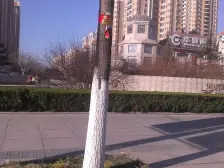 星河城~北向51平~带个小阳台~价格看好再商量