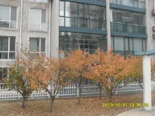 名城封闭小区,诚心出售,户型好