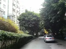 龙湖西苑 带屋顶花园朝中庭 业主真心出售