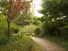 晋愉岭海 2室1厅 南