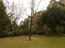 区府 晋愉岭海三房185万