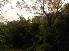 晋愉岭海 3室1厅 东南