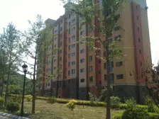 小区无坡,1楼精装下跃,3室2厅1厨2卫,南向30平花园