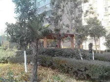 未来城 2室2厅 南