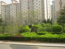 此房满五唯一 南卧室北客厅 房子位于小区中间位置