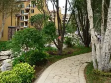 南北通透户型,中园前排上跃,北侧带露台,采光充足