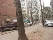 省委家属院双气南北通透,业主诚心卖附储藏室