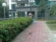 环湖花园 联排别墅 南北向 中间位置 前后私家花园