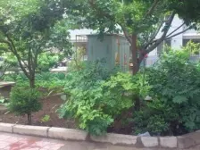 此房子是电梯房 小区有院子 电梯正常行