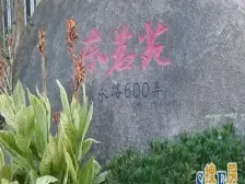 航头·鹤沙航城东茗苑-东区·2室·2厅