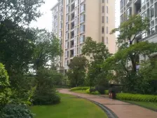 蛤地地铁口 森林湖 高层毛坯四房 南北通透