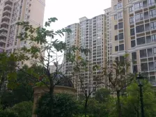 森林湖兰溪谷《花园中间楼栋》中间层大阳台-四房三卫