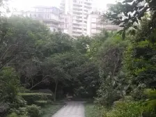 此房户型方正 装修好 阳台大 视野好 采光通风好