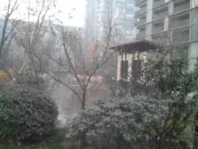 永威翡翠城 2室1厅 南