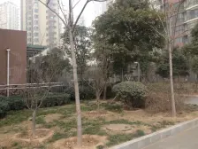 阳光花苑纯南户型一室一厅,户型方正,看房有钥匙