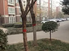 三环边 地铁口 绿都城 小高层 朝南大两房 采光好