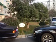 嘉丰小区 2室1厅 南