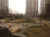 郑州中原上周1181114启福尚都登中原热搜小区榜首