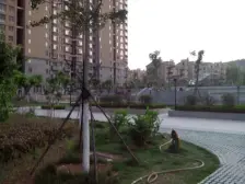 龙园 3室2厅 南 北