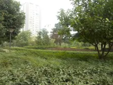 二郎商圈,银海方舟,商品房,地铁已通,双轨道