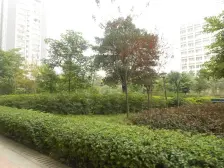 银海方舟大三房 带露台急售 住家安静