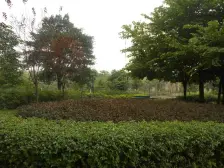 二郎商圈,银海方舟,商品房,地铁已通,双轨道