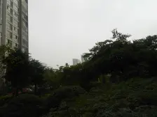 银海方舟 3室1厅 东南