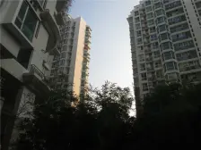 内环边+半人车分流绿化53%+得房率80%停车方便2010年