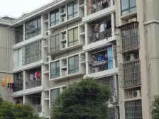 金桥·爱法新城·4室·3厅