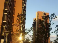 龙华·馨汇南苑·2室·2厅