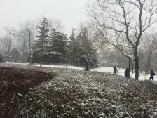 黄寺大街24号院3室1厅南北