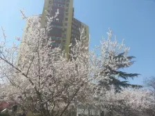 八角中里 2室1厅 南 北