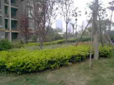 省医旁 天伦星钻 精装标准1室 双地铁口 临河临公园