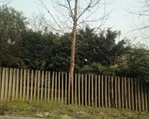 南洋国际庄园 5室3厅 南