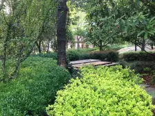 枫丹白露,毛坯别墅,一手房,全款房