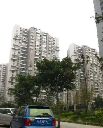 府河金庐