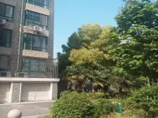 星湖花园 5室1厅 南