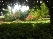 金科云湖天都 3室1厅 东南