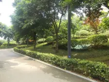 金科云湖天都独享国家湿地公园彩云湖公园