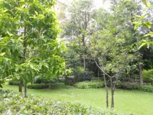 西区 金色池塘二房80万